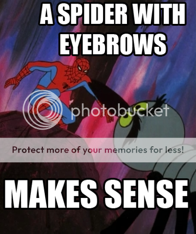 spiderwitheyebrows.png